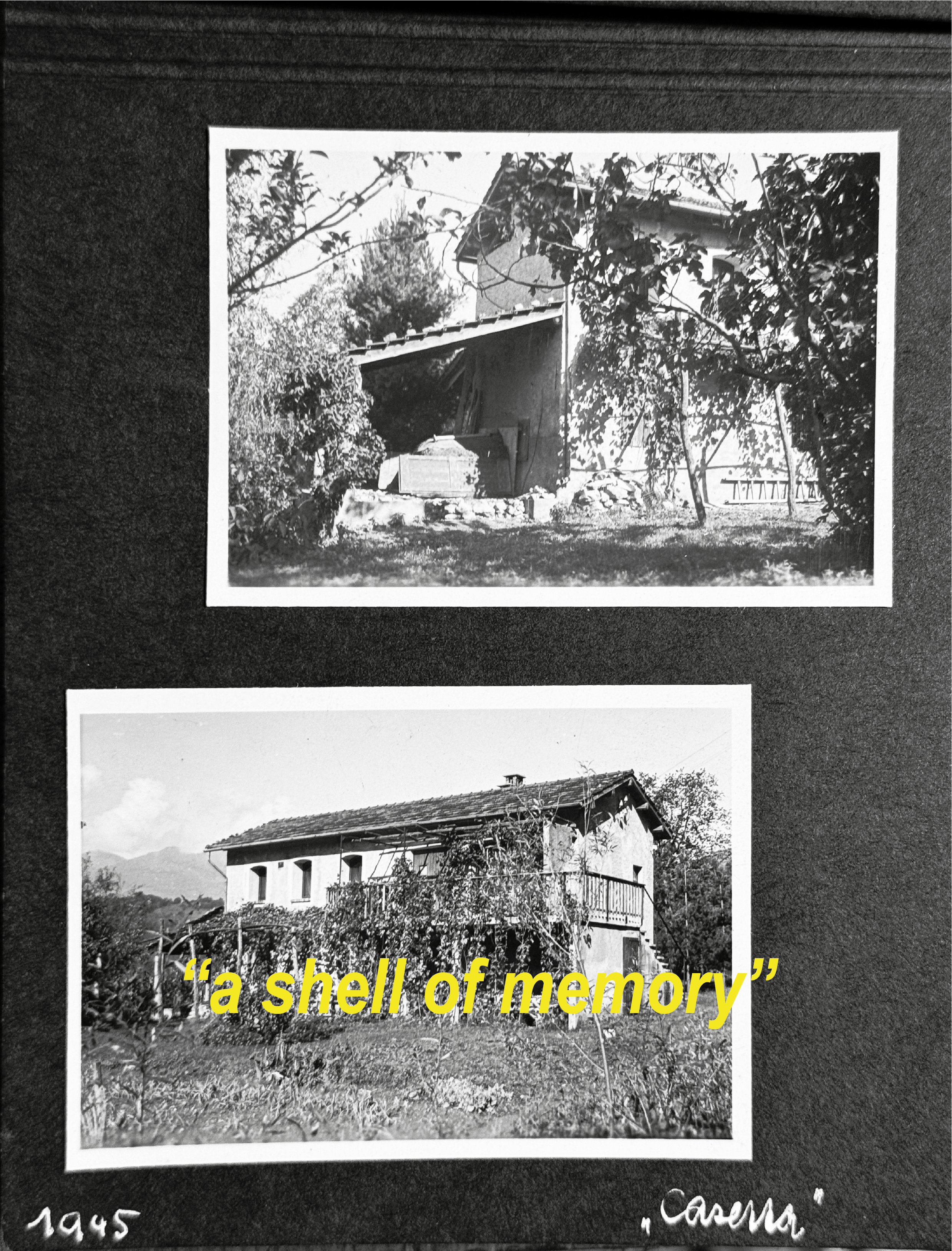 IMG_4506 copy IMG_4506 copy